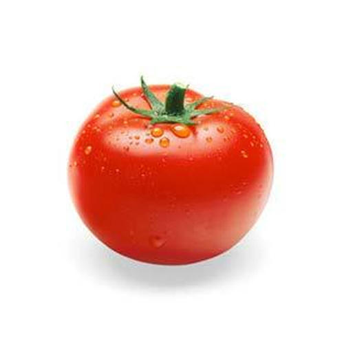 Fresh Organic Tomato