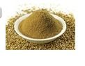Affordable Dried Coriander Powder
