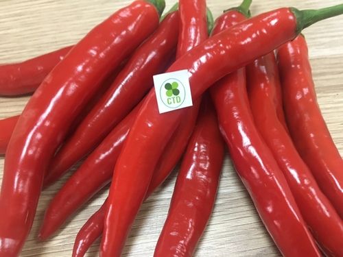 Vietnam Harvest Fresh Chilli