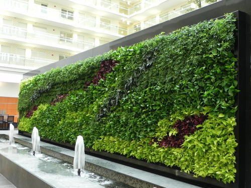 Vertical Garden and Green Bio-Wall