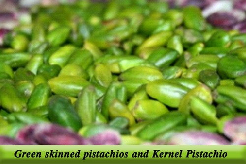 Green Color Pistachio Kernel