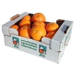 High Strength Fruit Carton Box