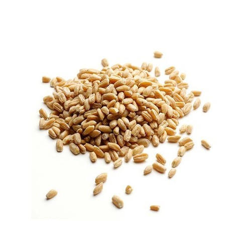 Pure Milling Wheat Grain