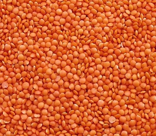 Red Lentils Football Type