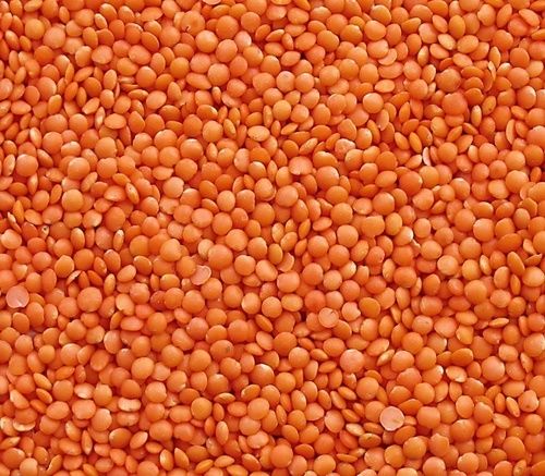 Red Lentils Football Type Crop Year: Recent Months