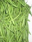 Fresh Quality French Beans