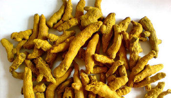 Best Organic Turmeric Finger