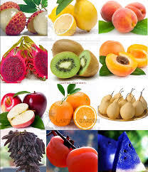 Fresh Organic Fruits Seeds