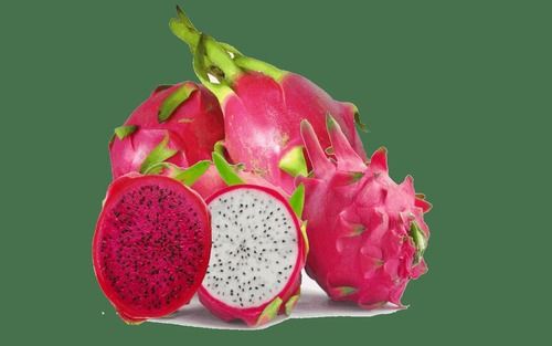 Different Color Available Fresh Organic Dragon Fruit