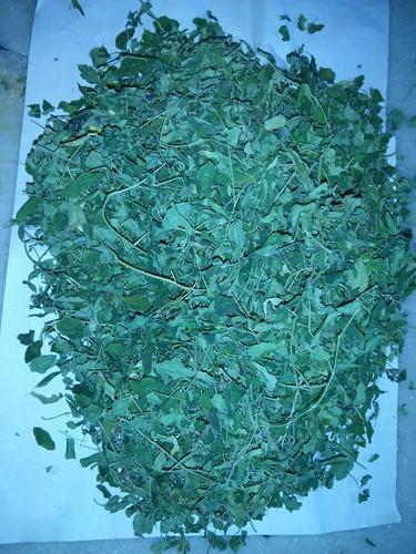 Natural Moringa Dried Leaf