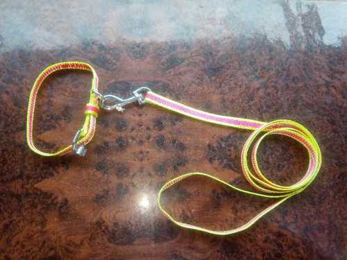 Nylon Puppy Single Collar Set