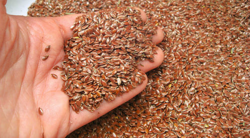 High Grade Flax Seeds