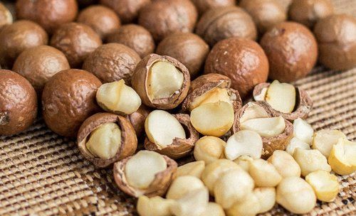 Premium Grade Macadamia Nuts