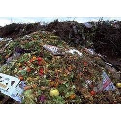 Catering Waste Disposal Services