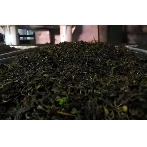 Green Hygienically Packed Makaibari Loose Tea