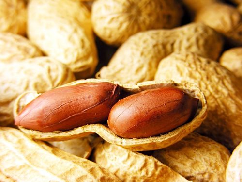 Rich Nutritious Fresh Peanuts