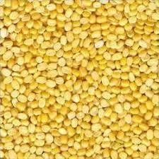 Organic Fresh Chana Dal