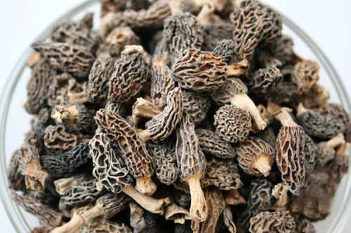 Morel Dried Morchella Conica Organic Mushroom Origin: Manila Philippines