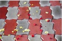 Paver Block And Tiles Display Color: Color