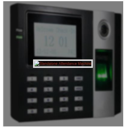 Standalone Biometric Attendance System