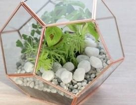 Indoor Geometric Glass Terrarium