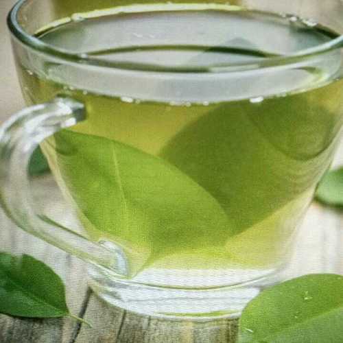 Organic Assam Green Tea