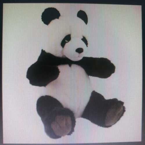 Panda Teddy Bears Soft Toys (Small, Medium And Large Size)