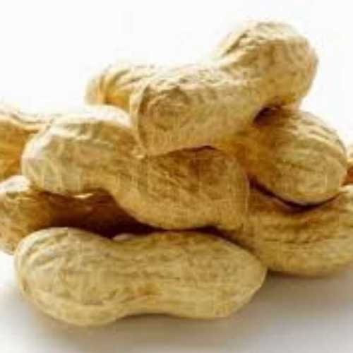 Pure Organic Fresh Peanuts