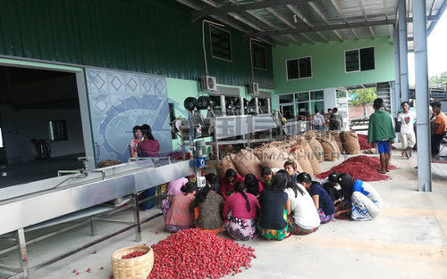 Red Chili Drying Line