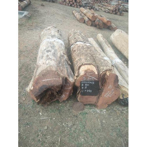 Round Hard Wood Log