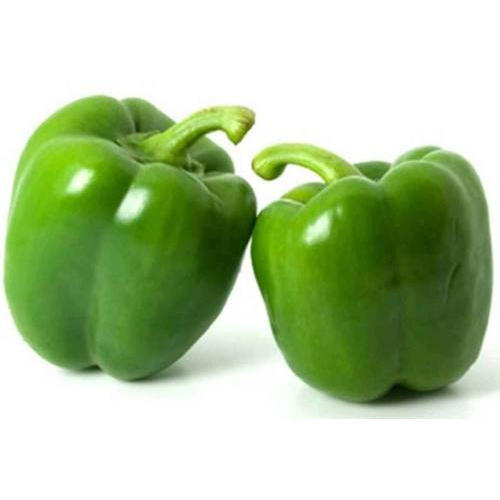 Completely Fresh Green Capsicum