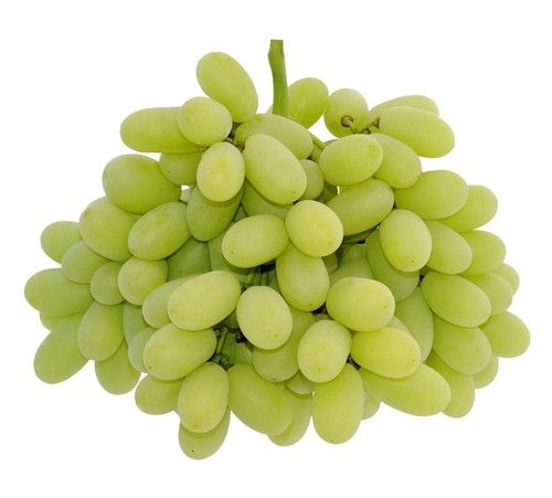 Completely Fresh Green Grapes