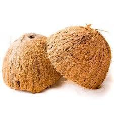 Solid Highly Demanded Coconut Shell