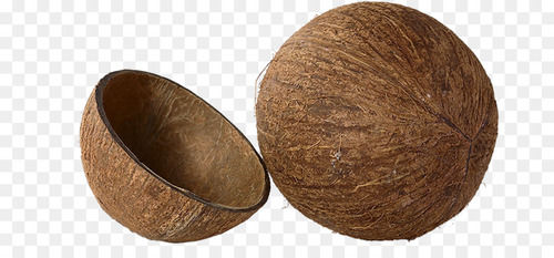 Low Price Coconut Shell
