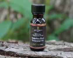 Angelica Root Pure Essential Oil (Angelica Archangelica)