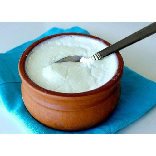 Highly Nutritious Plain Curd