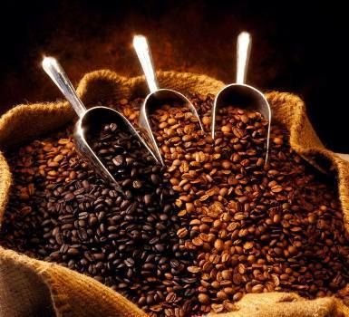 Roasted Coffee Beans (Arabica) Rich