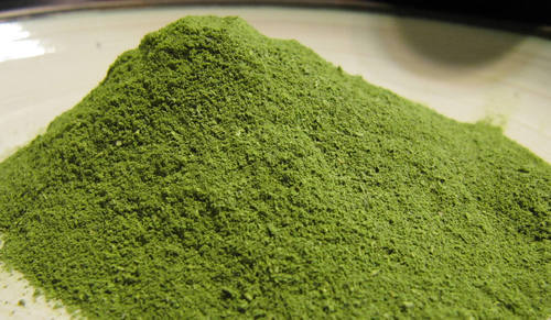 Organic Moringa Leaf Powder