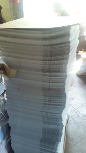 White Fine Finish Coloured Printing Paper at Best Price in New Delhi