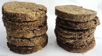 Brown Color Cow Dung Cake