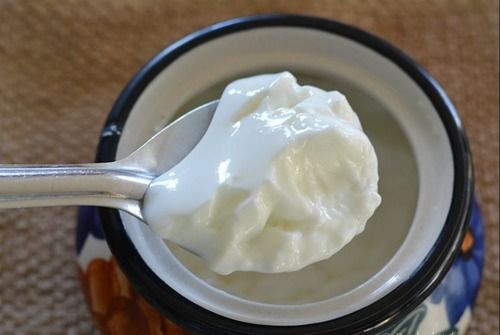 Fresh and Pure Curd