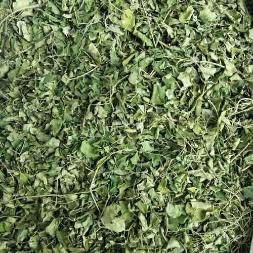 Premium Moringa Dry Leaves Usage: Health Caer