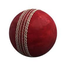 Multicolour Top Rated Cricket Leather Ball