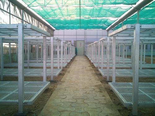 Two Tier Cultivation Beds For Greenhouse Cultivation