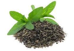 Fine Processed Green Tea
