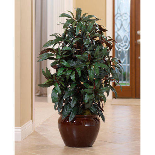 Washable Home Decoration Artificial Plants