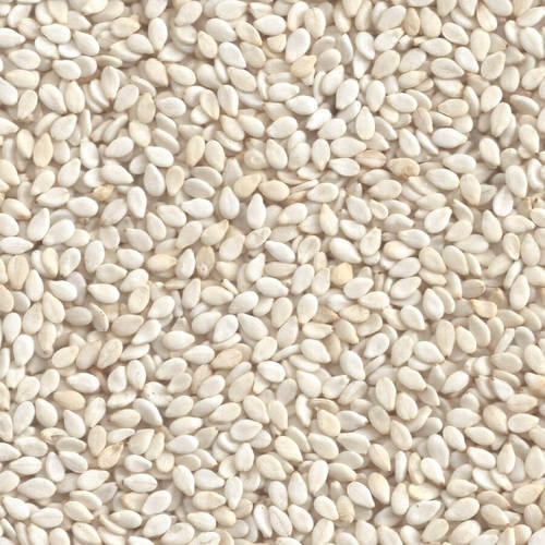 Not-Organic White Sesame Seed