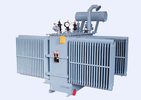 Well Maintained Distribution Transformer