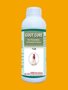 1 Liter Gout Care