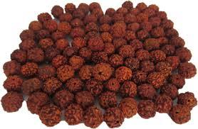 17 Mukhi Rudraksha Beads